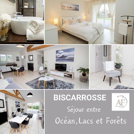 Ravissante Maison Cosy 4* Biscarrosse Proche Lac Dış mekan fotoğraf